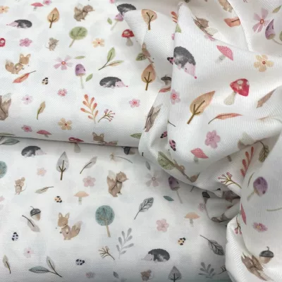 VAIELA FLORESTA ENCANTADA