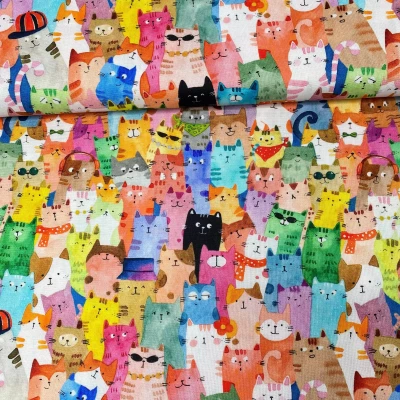 POPELINE CATS AROUND TOWN