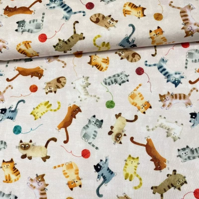 POPELINE CATS AROUND TOWN
